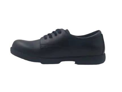 20221031 111714 removebg preview.png